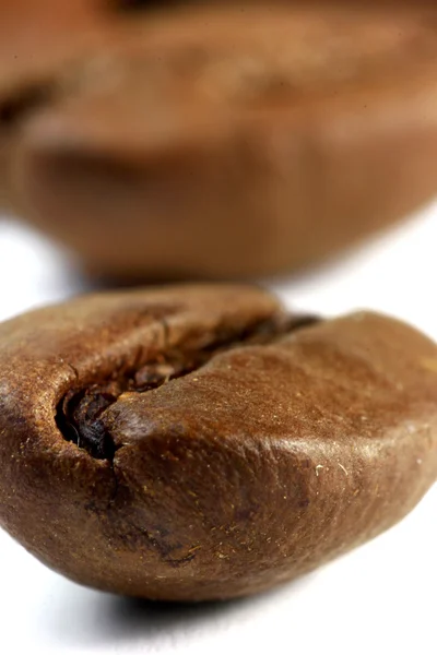 Super macro grains de café — Photo