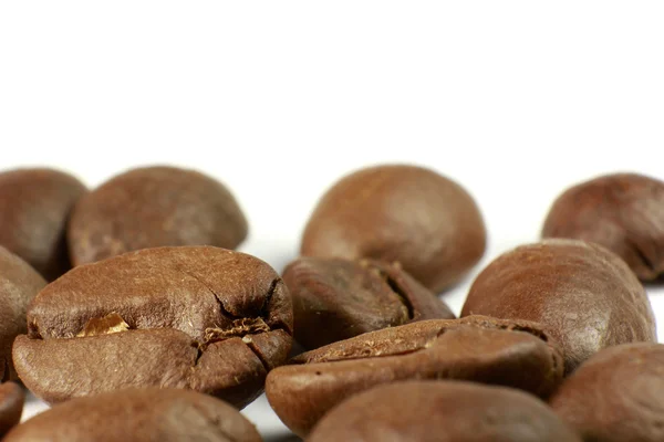 Macro coffee beans — Stock Photo, Image