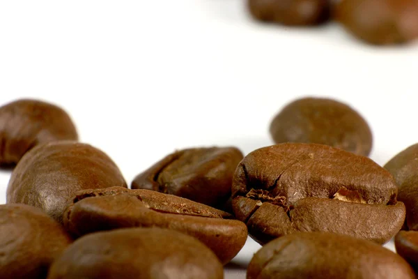 Grãos de café macro — Fotografia de Stock