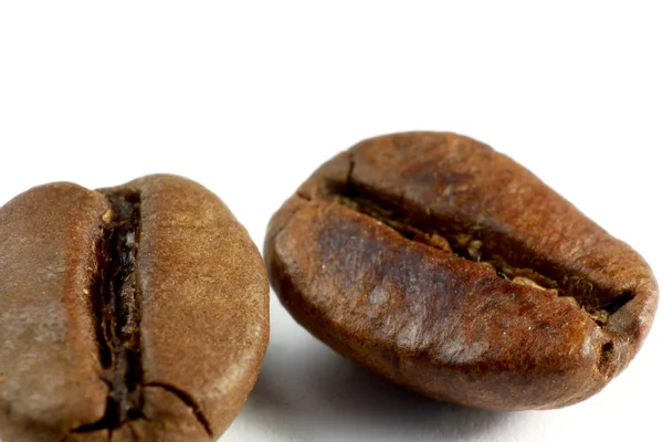 Μακροεντολή κόκκους καφέ — Φωτογραφία Αρχείου