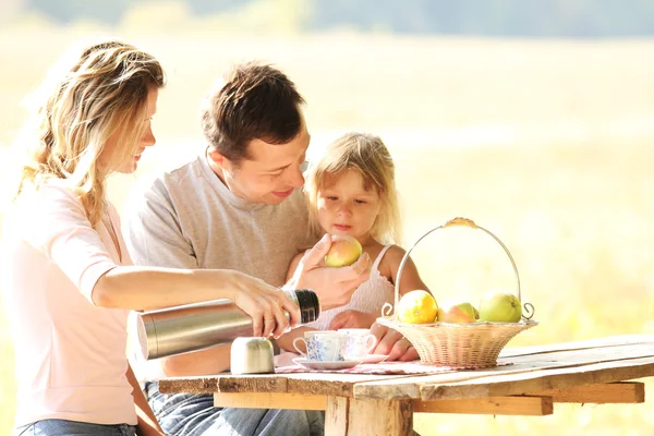 Famiglia al picnic — Foto Stock