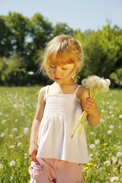 Little girl with dandelion — Stock Photo, Image