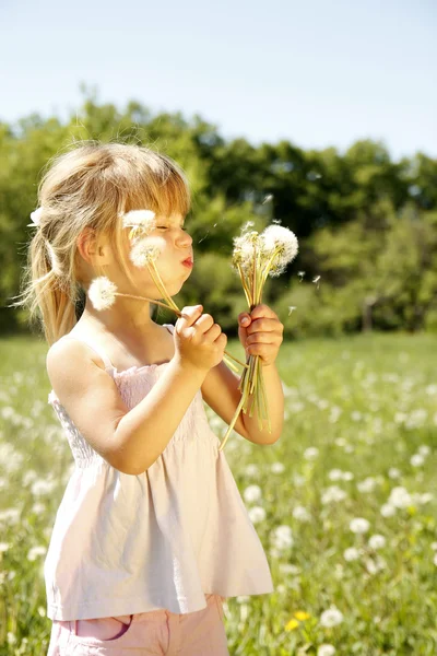 Bambina con dente di leone — Foto Stock