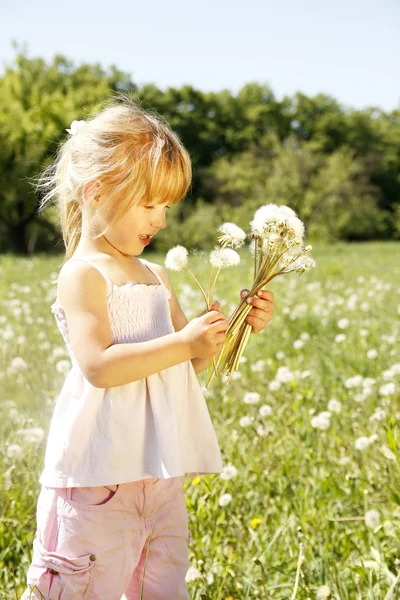 Little girl with dandelion — Stock Photo, Image