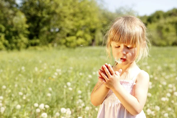 Bambina con dente di leone — Foto Stock