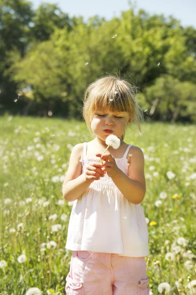 Kleines Mädchen mit Löwenzahn — Stockfoto