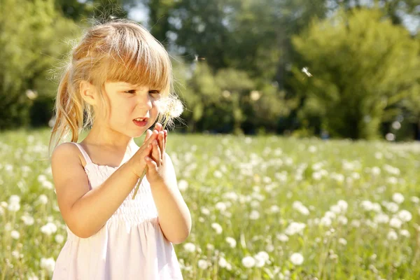 Little girl with dandelion — Stock Photo, Image