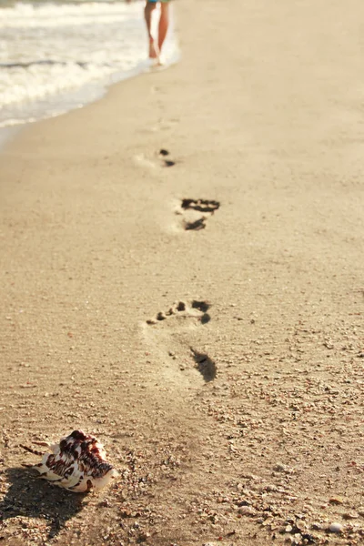 Empreintes de pas dans le sable — Photo