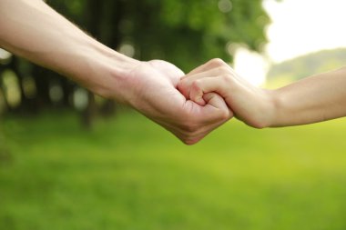sevgi dolu bir çift doğa üzerinde iki eli