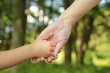 Ebeveyn küçük bir çocuğun elini tutuyor.