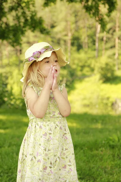 Beautiful little girl on nature — Stock Photo, Image