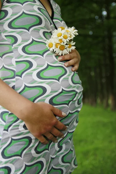 Κοιλιά της εγκύου γυναίκας σχετικά με τη φύση — Φωτογραφία Αρχείου