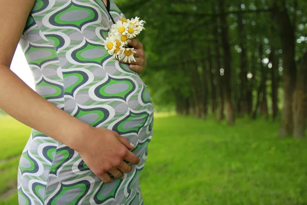 Magen på en gravid kvinna på natur — Stockfoto