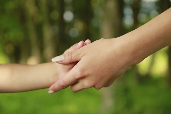 親は小さな子供の手を握り — ストック写真
