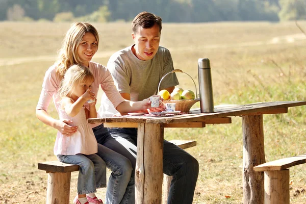 Giovane famiglia che fa un picnic nella natura — Foto Stock