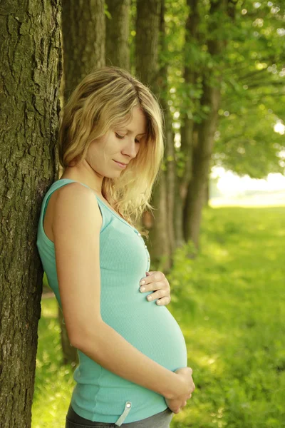 Vacker ung gravid flicka på naturen Stockbild