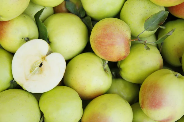 Achtergrond van groene appels — Stockfoto