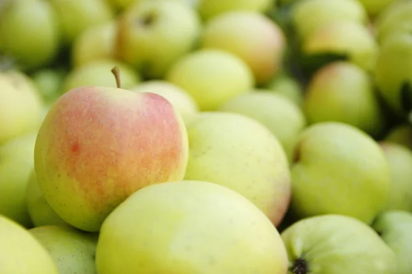 Background of green apples — Stock Photo, Image