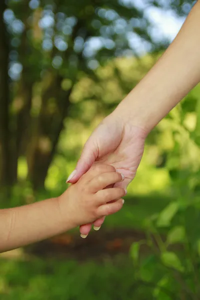 Родитель держит за руку маленького ребенка — стоковое фото