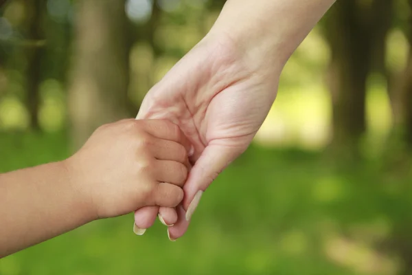 Genitore tiene la mano di un bambino piccolo — Foto Stock