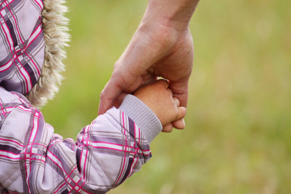 Parent holds the hand of a child