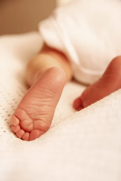 Şirin yeni doğan bebek bacaklar — Stok fotoğraf
