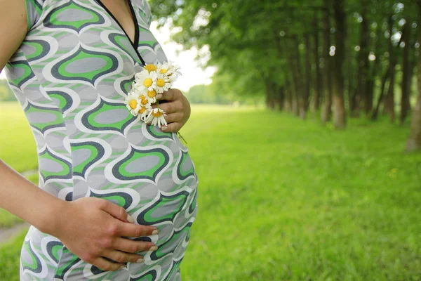 Magen på en ung gravid flicka — Stockfoto