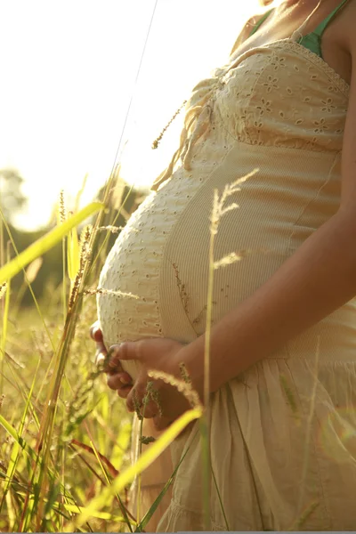 Belly beautiful young pregnant girl — Stock Photo, Image