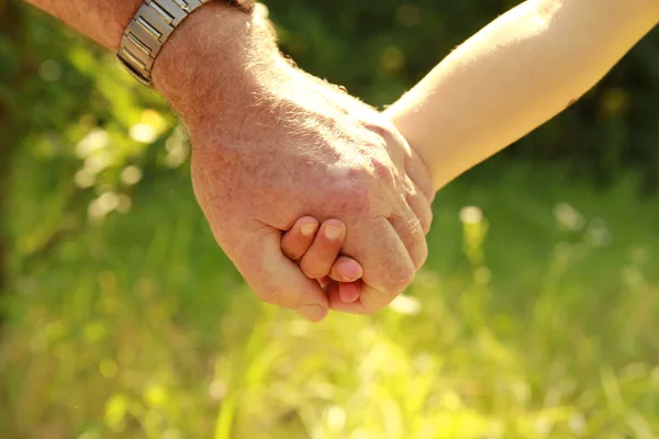 Parent holds the hand of a child — Stock Photo, Image