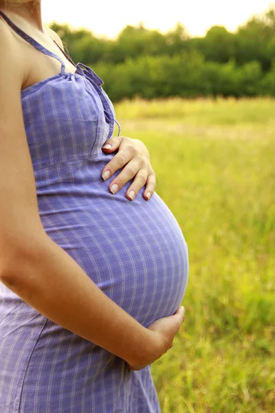 아름 다운 젊은 임신한 여자 배 — 스톡 사진