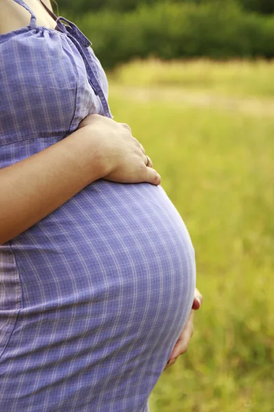 怀孕少女的性质 — 图库照片