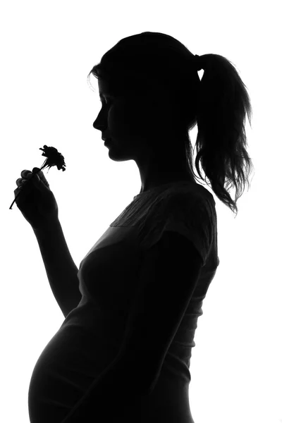 Silhouette di una donna incinta — Foto Stock