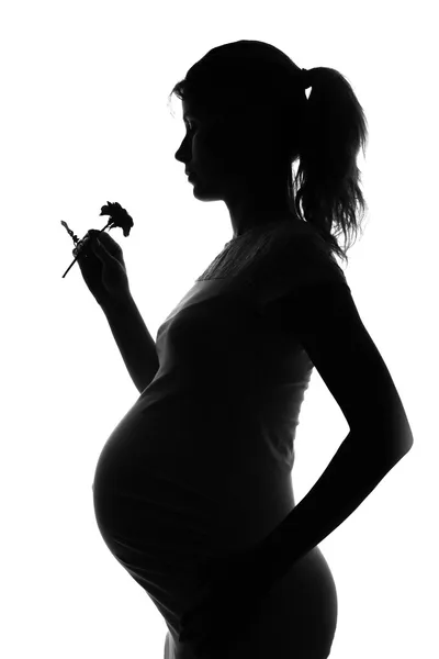 สีลูเอทของผู้หญิงท้อง — ภาพถ่ายสต็อก