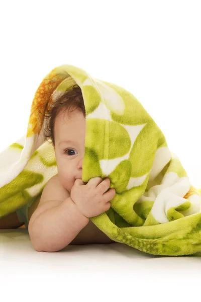 Child on a white background under a blanket — Stock Photo, Image