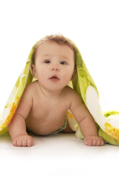 Criança em um fundo branco sob um cobertor — Fotografia de Stock