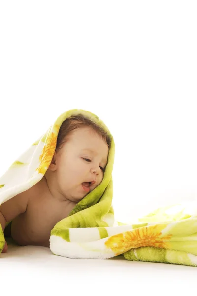 Child on a white background under a blanket — Stock Photo, Image