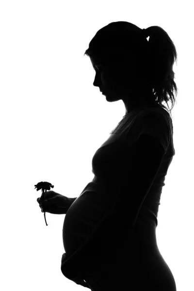 Silhouette di una donna incinta — Foto Stock