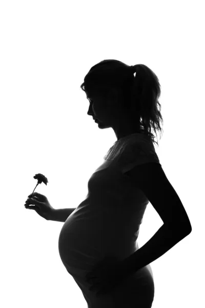 Silhouette d'une femme enceinte — Photo