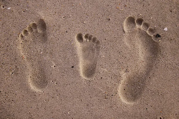 Familie voetafdrukken in het zand aan de kust — Stockfoto