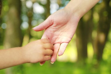 Ebeveyn küçük bir çocuğun elini tutuyor. 