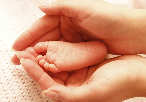 Leg cute newborn little baby in mother's hands — Stock Photo, Image