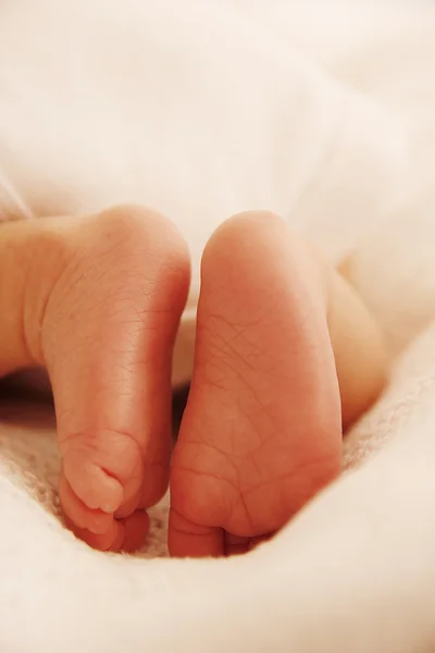 Legs of newborn — Stock Photo, Image