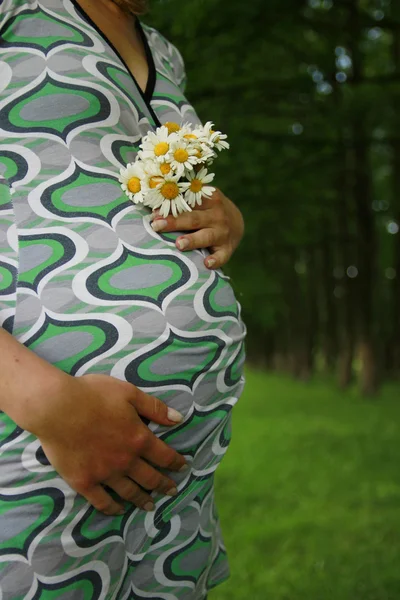 Belly of a pregnant woman on nature — Stock Photo, Image