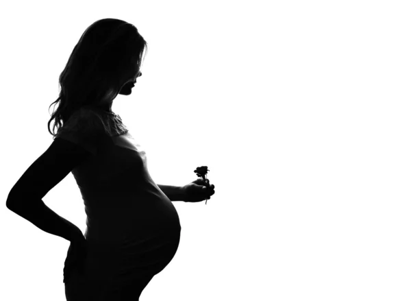 Těhotná žena silueta — Stock fotografie