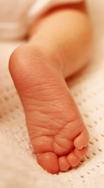 Feet one cute newborn little baby — Stock Photo, Image