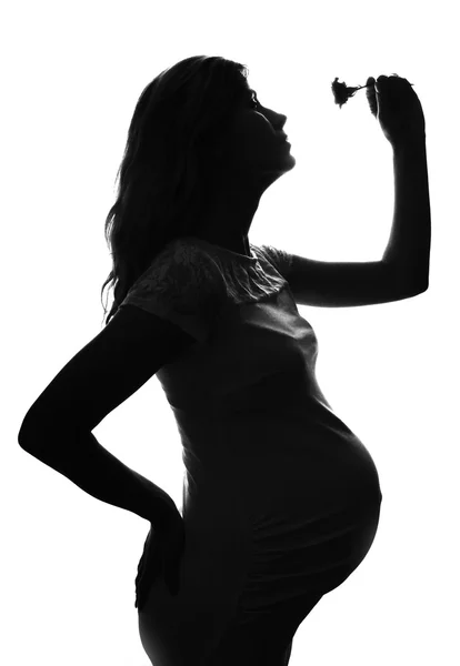 Силует вагітної жінки — стокове фото