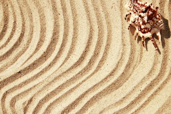 浜辺の砂の背景 — ストック写真