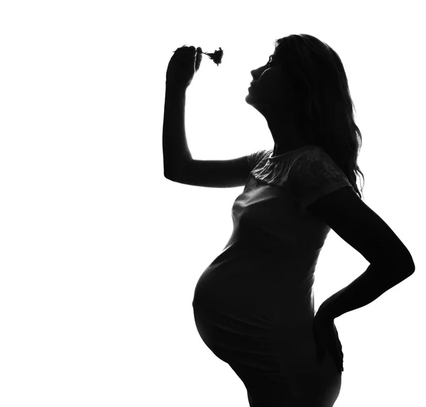 Silhouette of a pregnant woman — Stock Photo, Image