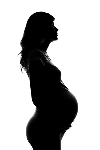 Silhouette of a pregnant woman on a white background Royalty Free Stock Photos