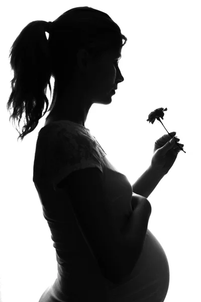 Silhouet van een zwangere vrouw — Stockfoto